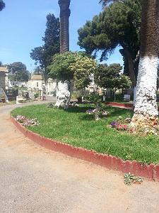 ORAN CIMETIERE DE THAMASHOUET (4)